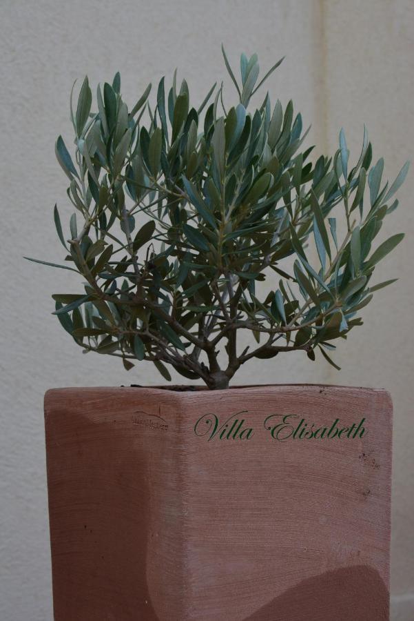 Villa Elisabeth Aix-en-Provence Eksteriør billede